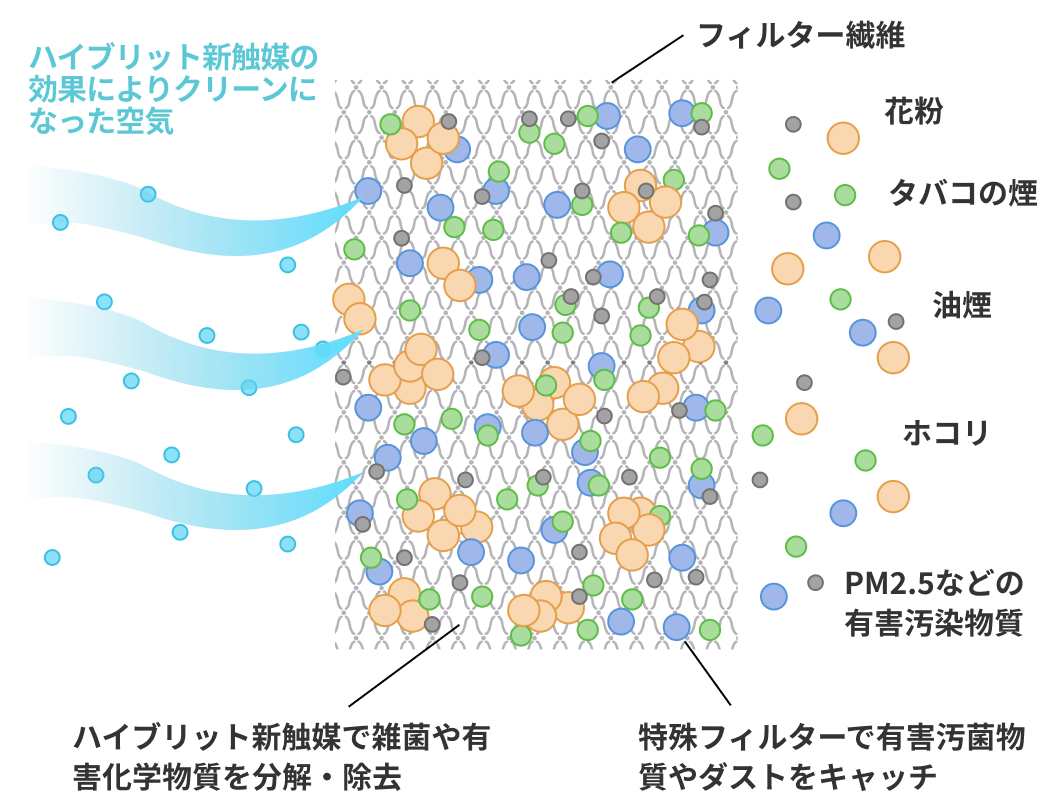 「AT254フィルター」とは？